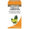 Arkocaps tribulus terrestris 42 capsulas