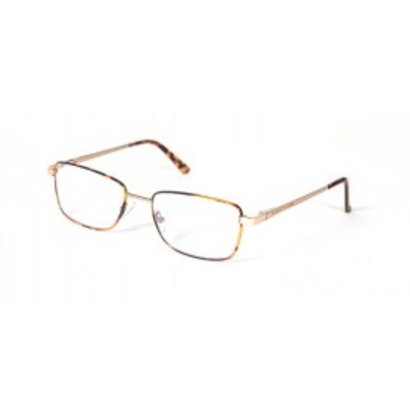 Gafas protecfarma  metallic ii aneto +3.50